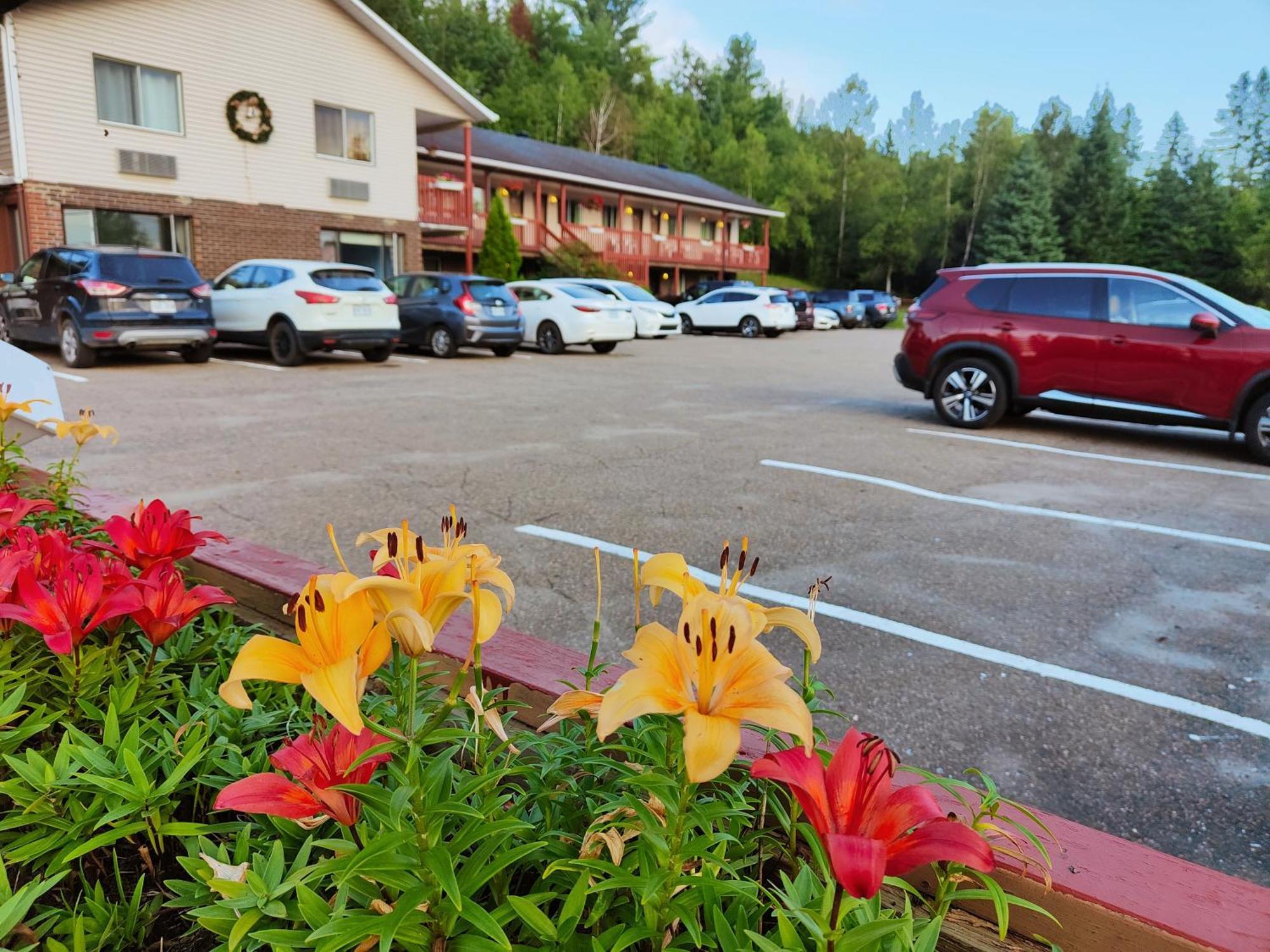 Motel Le Radisson De Val-David Exteriér fotografie
